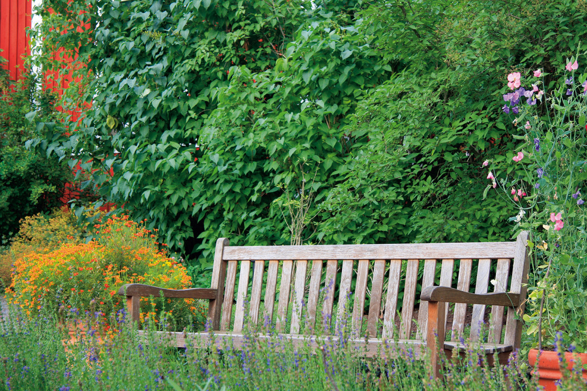 V zahradě na venkově by rozhodně neměla chybět dřevěná lavice. V minulosti jste ji mohli najít u každého vesnického domu.
