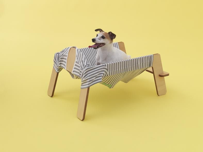 Torafu Architects pro Jack Russell teriéra