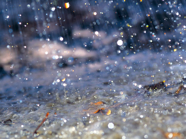 Proč a jak zachytávat dešťovou vodu. foto: thinkstock.cz