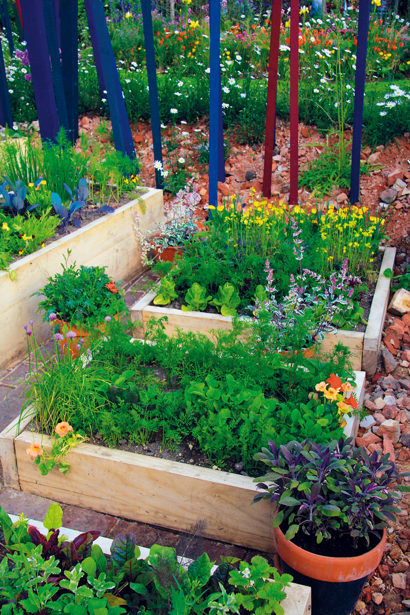 Vyvýšené záhony jsou jako stvořené na pěstování zeleniny. Základem úspěchu je – jak jinak – kompost.