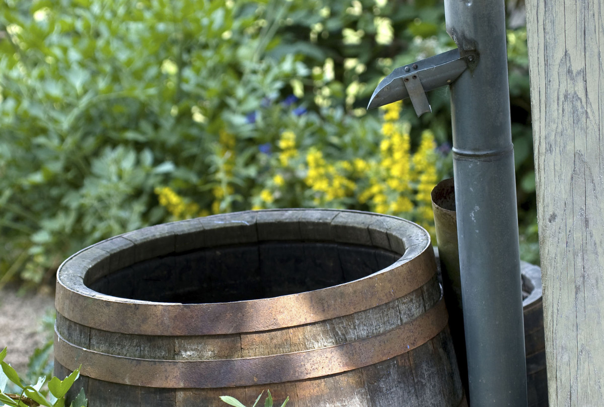 V rámci šetření je praktické přistavět k okapové rouře sud na zachytávání dešťové vody. (foto: thinkstock.cz)