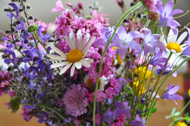 Luční květy ve váze rozehrají stůl na terase i v kuchyni či obyváku.