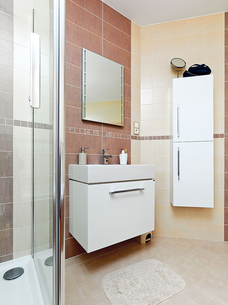 V koupelně sice najdeme i vanu, častěji se ale využívá sprchový kout.