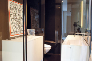 Koupelna pro hosty pro změnu v černobílé kombinaci a – za prosklenými dveřmi.