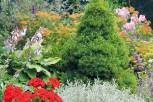 Červené pelargónie do zahrady vnášejí živou barevnost. Na okraji vyniká stříbrolistá svatolína (svatá bylina, Santolina chamaecyparis). FOTO DANIEL KOŠŤÁL