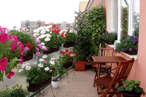 Krásu svého upraveného balkonu si můžete užívat i v chladnějším období. Díky sálavému topení.