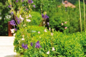 „Zjištění, že zahradu u vily Sněženka najdete i na prestižních stránkách worldlandscapearchitect.com, je pro nás úžasným oceněním,“ těší se z úspěchu majitelka zahrady Eliška Břízová.