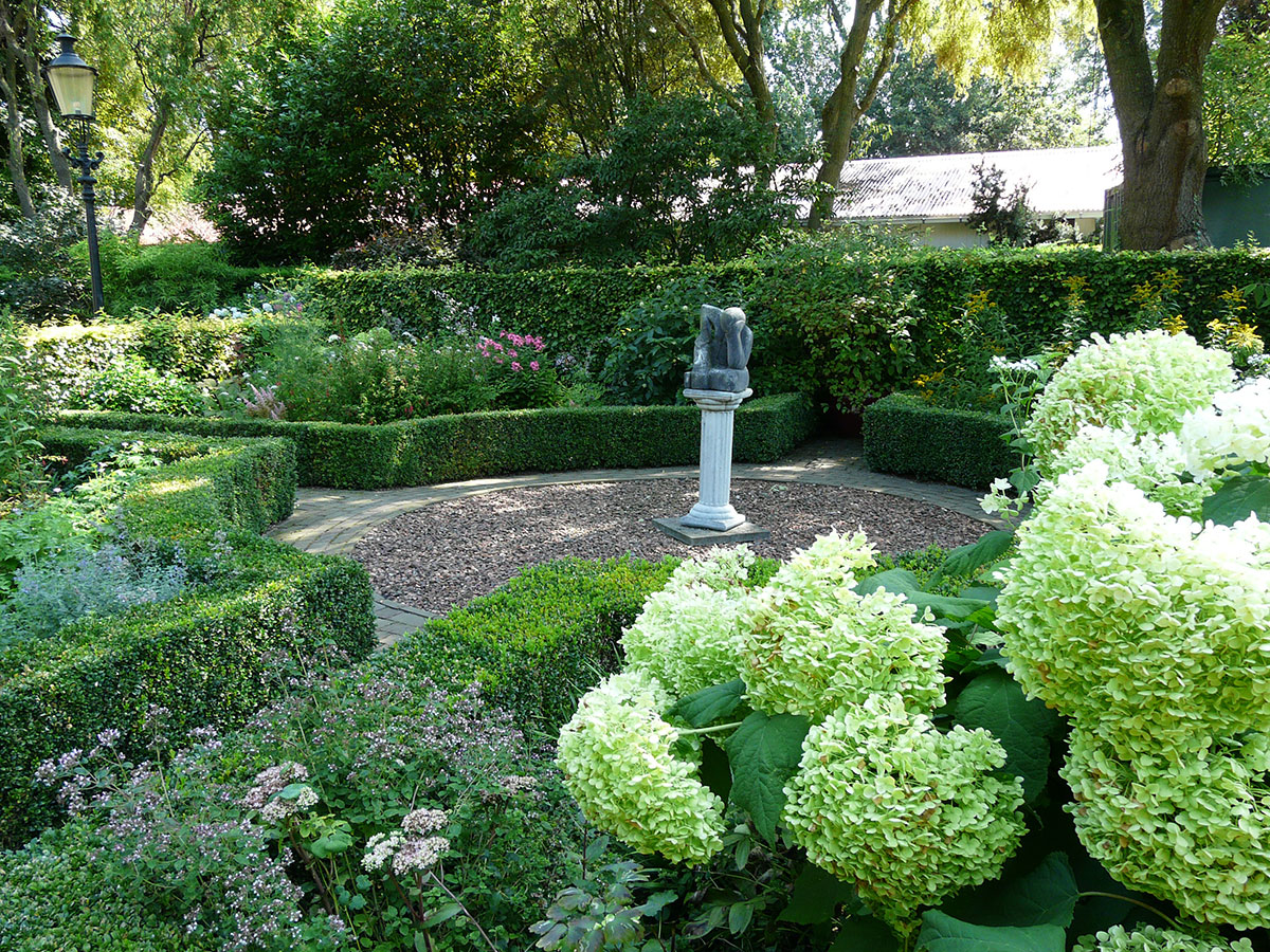 Hydrangea arborescens. FOTO: LUCIE PEUKERTOVÁ
