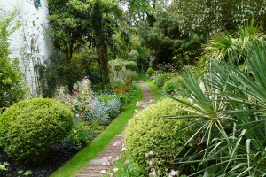 Díky mírnému klimatu se u Angličanů daří také druhům z jižních krajin. Dokážou je vkusně kombinovat s místní flórou a vytvářet tak jedinečnou atmosféru zahrad. FOTO: LUCIE PEUKERTOVÁ