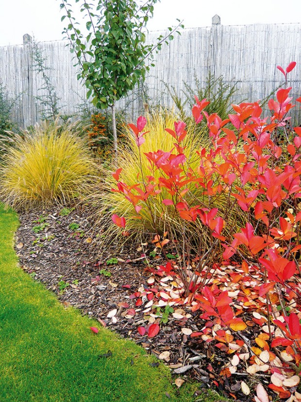 Podzim na zahradě ve Slaném doslova hýří barvami od sytě žlutých tónů přes okrovou až po karmínově červenou.