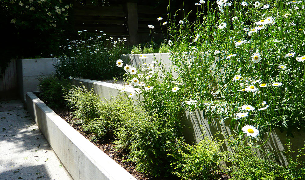 Moderní minimalismus v zahradě