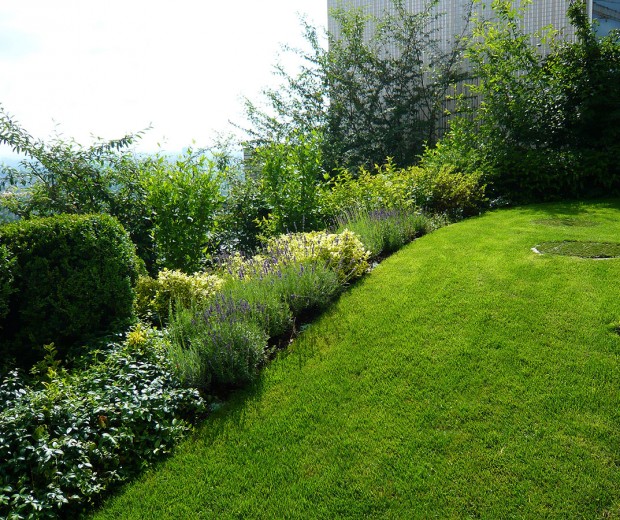 Jednoduchá koncepce zahrady s trávníkem a smíšeným keřovým záhonem. FOTO LUCIE PEUKERTOVÁ