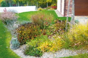 Celoročně atraktivní záhony s prérijními druhy trvalek a okrasných trav jsou nejdůležitějším tématem zahrady ve Slaném.