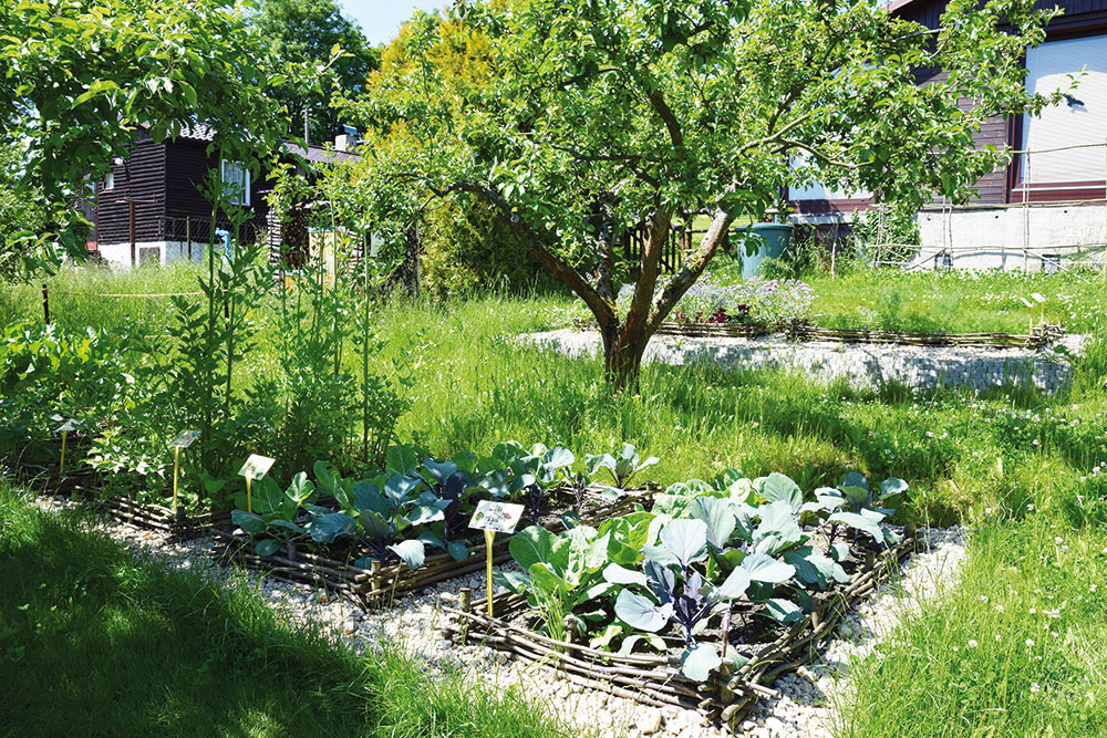 Na zeleninové zahradě se vyplatí dělat vše efektivně. foto Lucie Peukertová