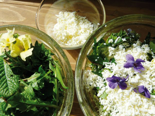 Z vypěstované zeleniny si lze připravit třeba výborné saláty nebo pomazánky. FOTO LUCIE PEUKERTOVÁ