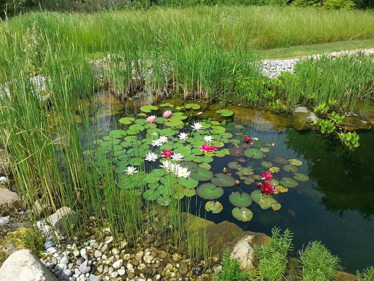 Krásné vodní prvky do různých stylů zahrad