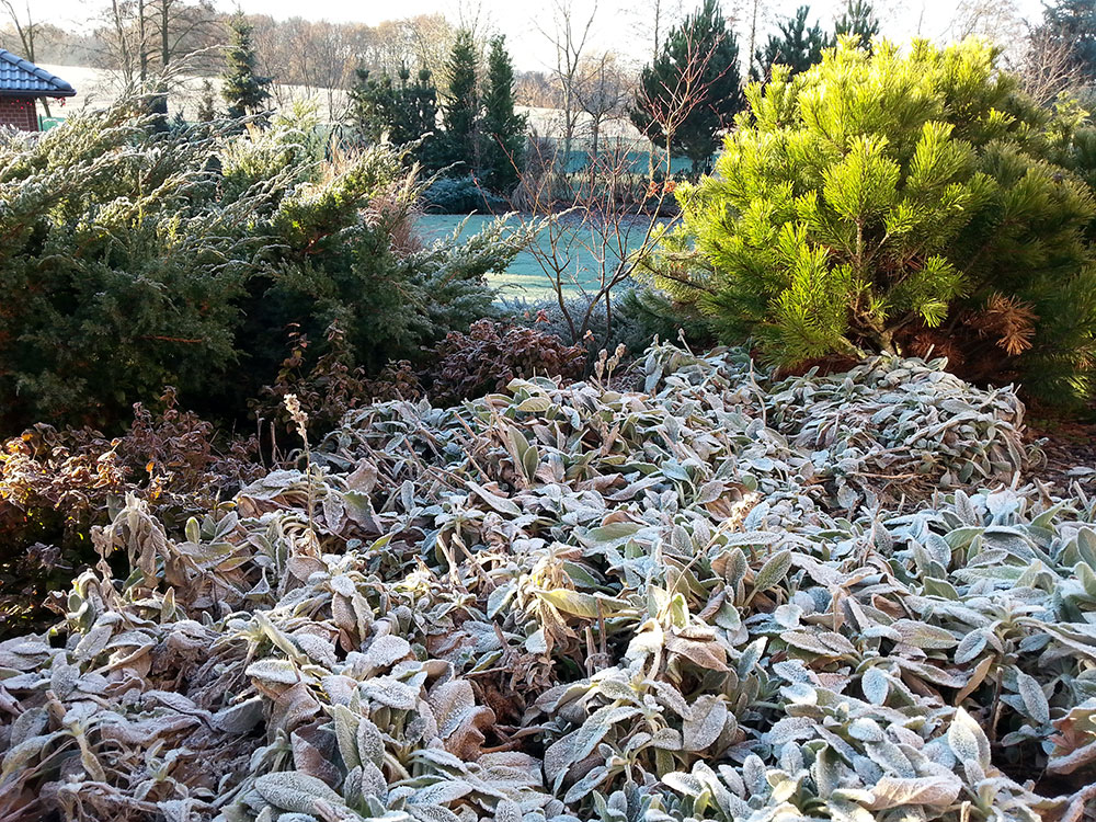 Při tvorbě zahrady je třeba myslet nejen na to, jak bude zahrada vypadat během sezony, ale je třeba se zamyslet hlavně nad zimou. foto: Lucie Peukertová