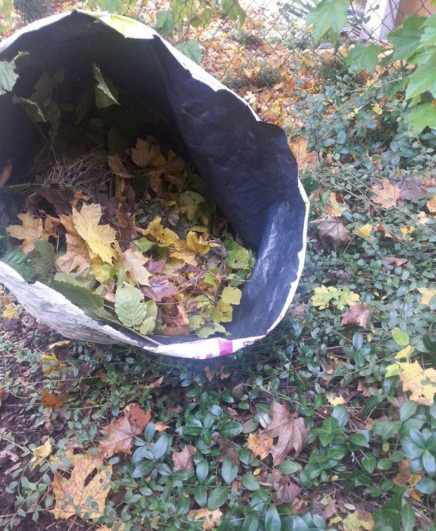 Listí ze zahrady do kompostéru jistě patří, ale je třeba ho prosypávat zeminou a dalšími materiály, aby se podpořil jeho rozklad. Foto: Lucie Peukertová