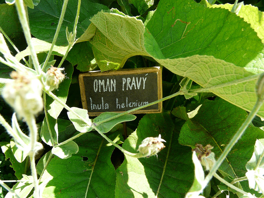 Pokud nejste v pěstování bylinek zkušení, můžete si jednotlivé druhy označit cedulkou s názvem.