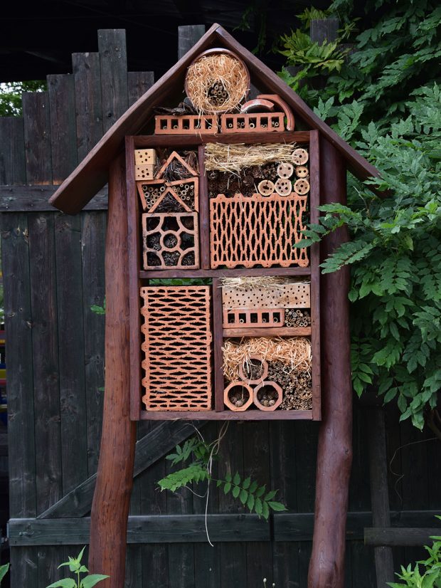 S dětmi můžete vyrobit hmyzí hotel. Pak je bude bavit kontrolovat jeho osídlení hmyzem. foto: Lucie Peukertová