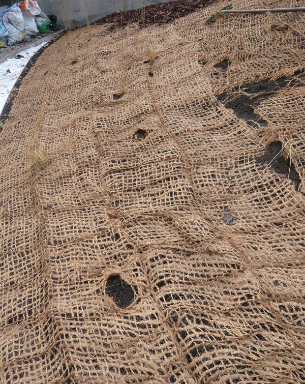 Kokosová rohož poměrně efektivně zadržuje mulčovací materiály. foto: Lucie Peukertová