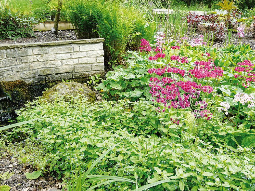 Dešťová zahrada umožňuje vsakování srážkové vody do podloží, čímž výrazně ovlivňuje mikroklima zahrady. FOTO LUCIE PEUKERTOVÁ