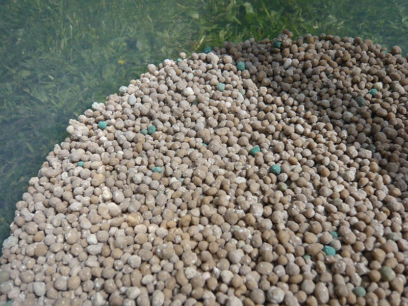Syntetická hnojiva obsahují živiny v koncentrovaném množství, kvůli čemuž hrozí jejich nadměrné dávkování a zasolení půdy.