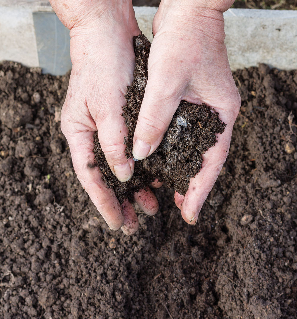 Díky zemině z kompostu získáme potřebné doplnění hmoty v záhonech. FOTO ISTOCK