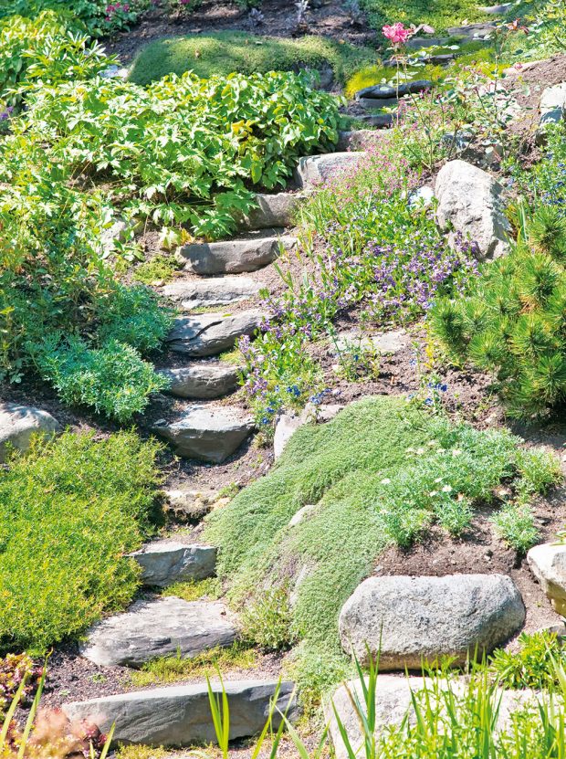 Správně sestavené a dobře usazené alpinium proměnlivě zdobí zahradu po celý rok. FOTO ISTOCK