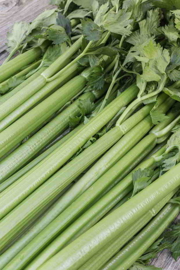 řapíkatý celer