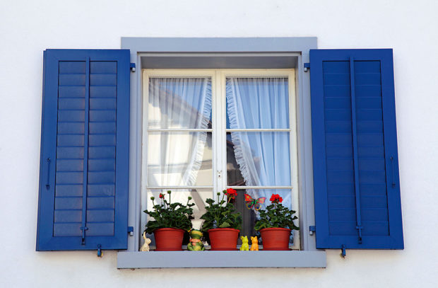 modré okenice