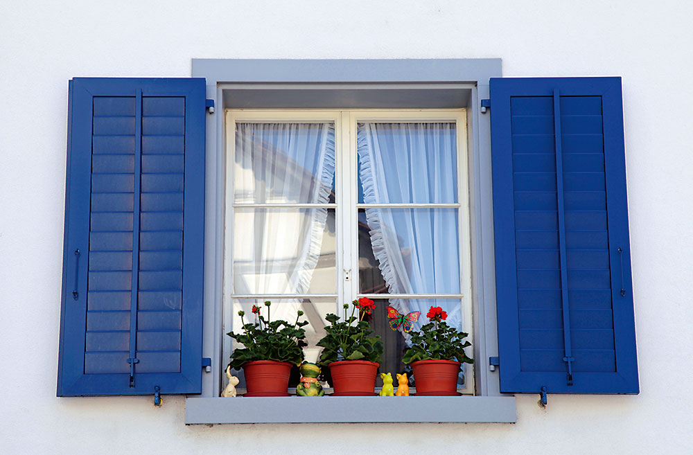 modré okenice