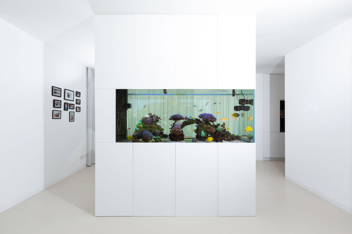 Akvárium opticky odděluje kuchyň s jídelnou od obývací části.