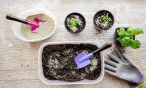 Co je to vermikulit a jak vám může pomoci při pěstování