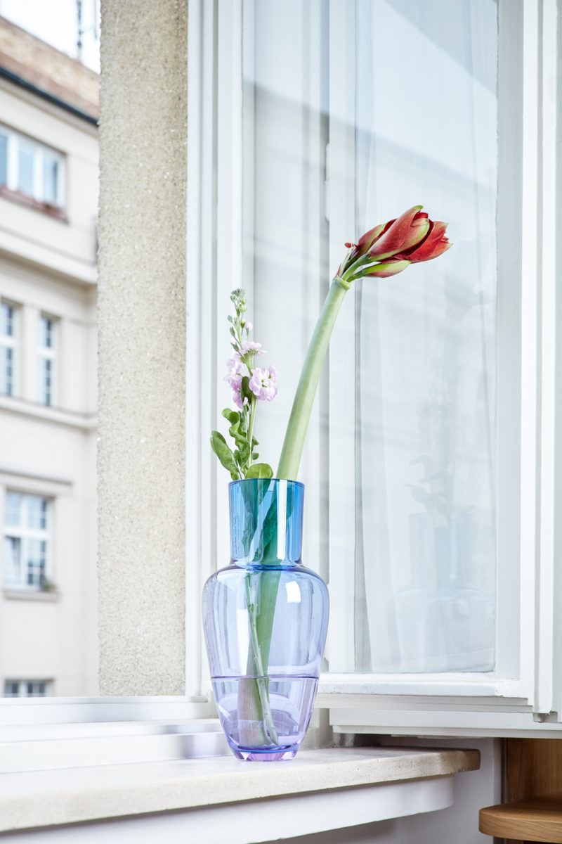 Váza s květinou v okně