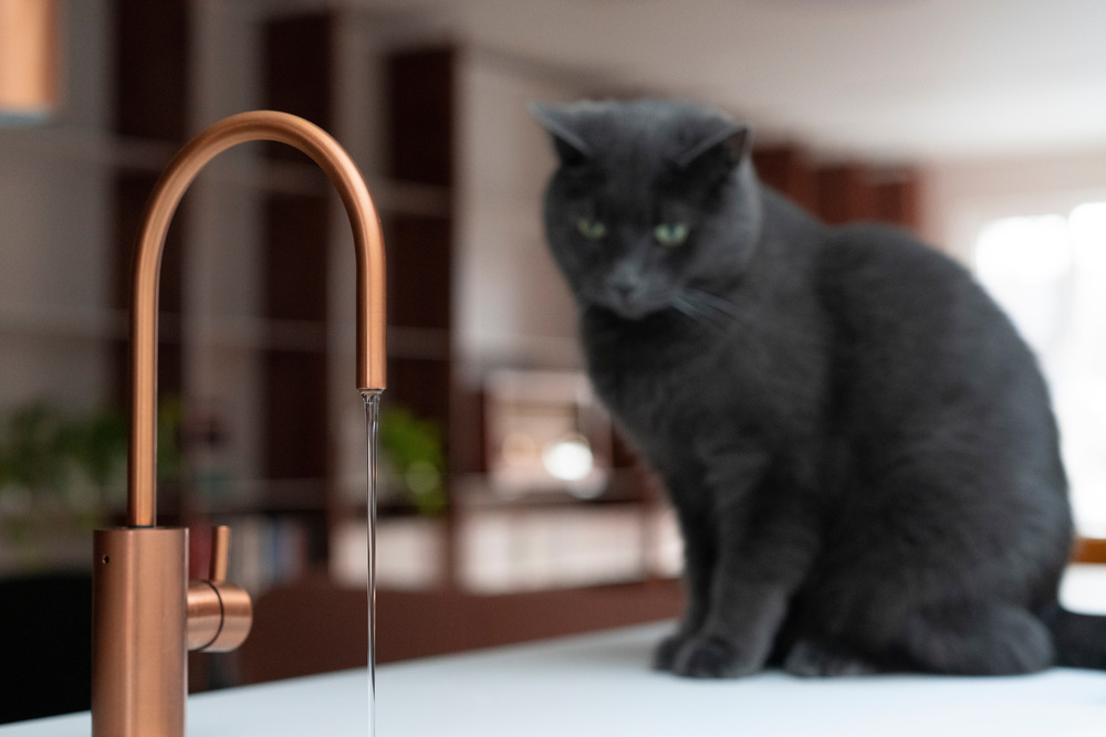 Měděné vodovodní baterie a kočka