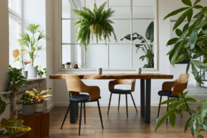 6 interiérových rostlin, které zkrášlí vaši kuchyň a nejsou náročné na údržbu