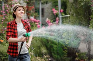 Srpen v zahradě: Tipy a triky pro kvetoucí zahradu a dobrou úrodu