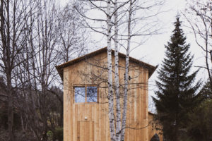 Dřevěný dům v lese