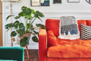 Zelená a oranžová pohovka v obýváku
