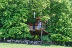 Tree House na pastvě pro ovce