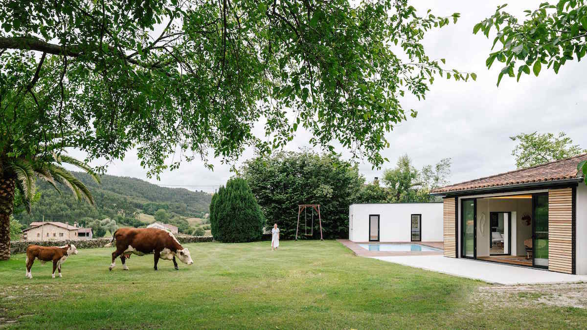 Zrekonstruovaná stáj s bazénem a loukou s krávami