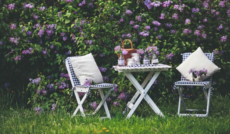 Romantické sezení před fialovým živým plotem
