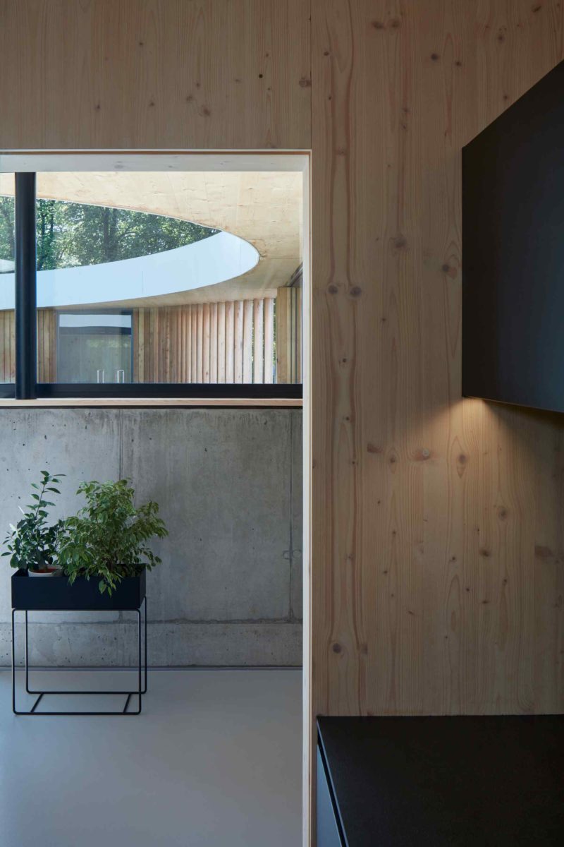 Dřevěný obklad v interiéru s betonem