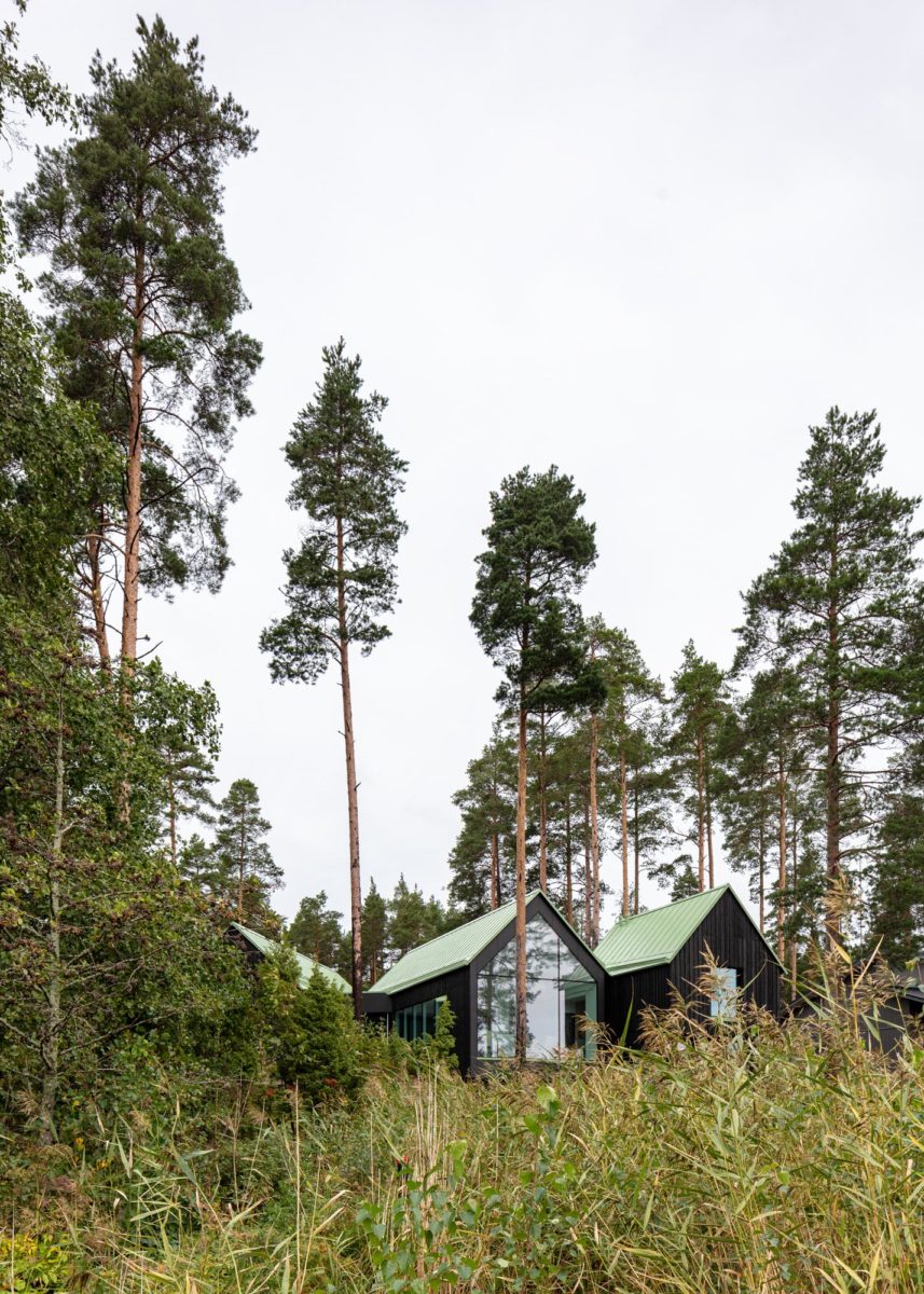Tři chaty spojené do jedné v borovicovém lese s prosklením
