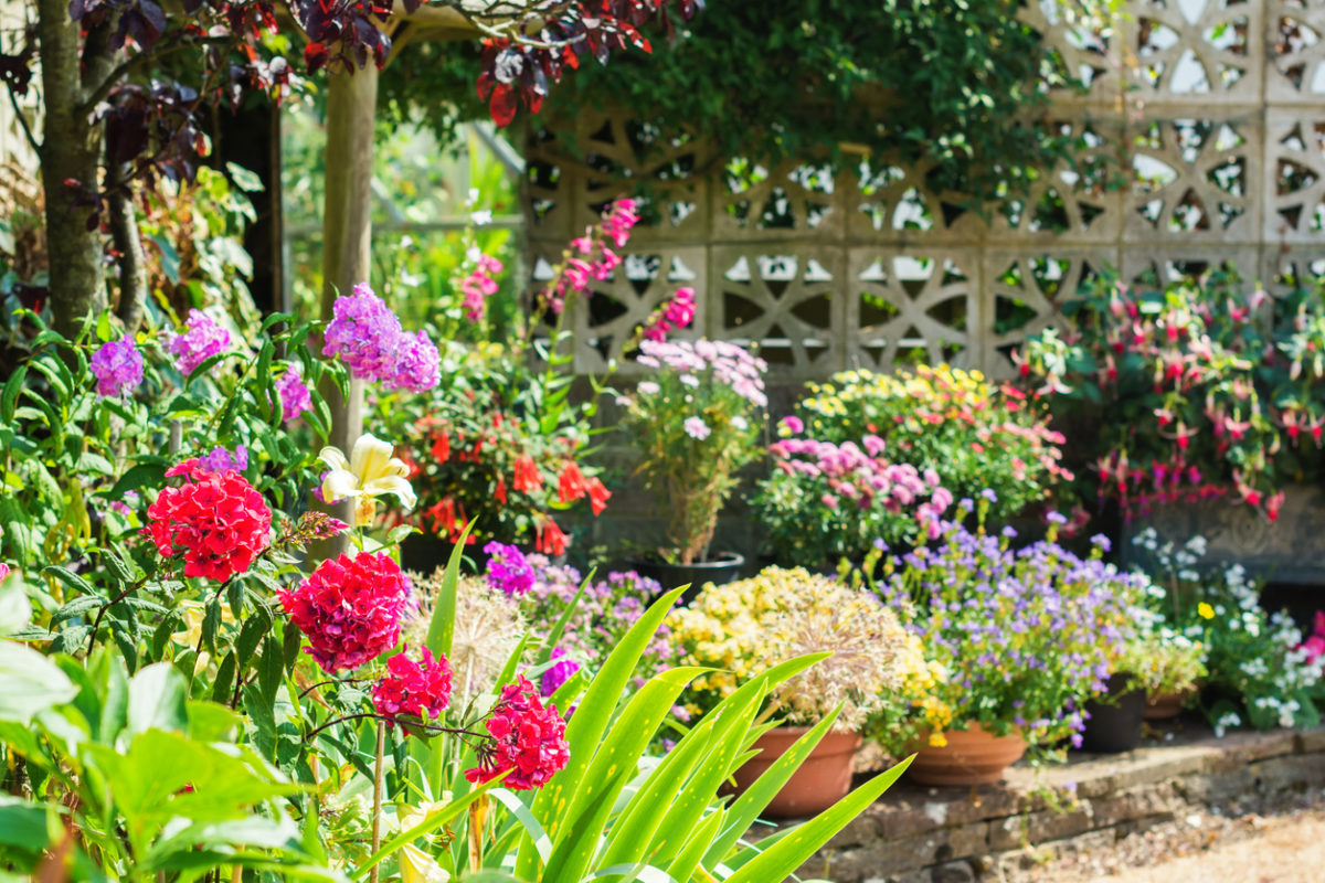 Beautiful backyard floral garden