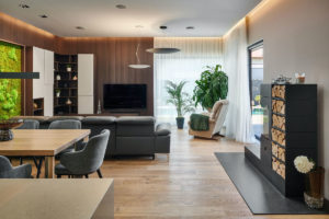 Moderní tmavý elegantní obývací pokoj