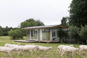 Malý prosklený víkendový domek na louce s ovcema