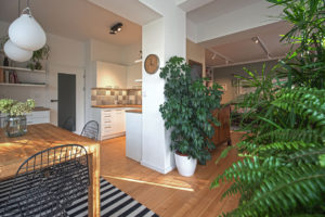 Otevřený prostor v domě s bílou kuchyní a dřevěnou podlahou a rostlinami