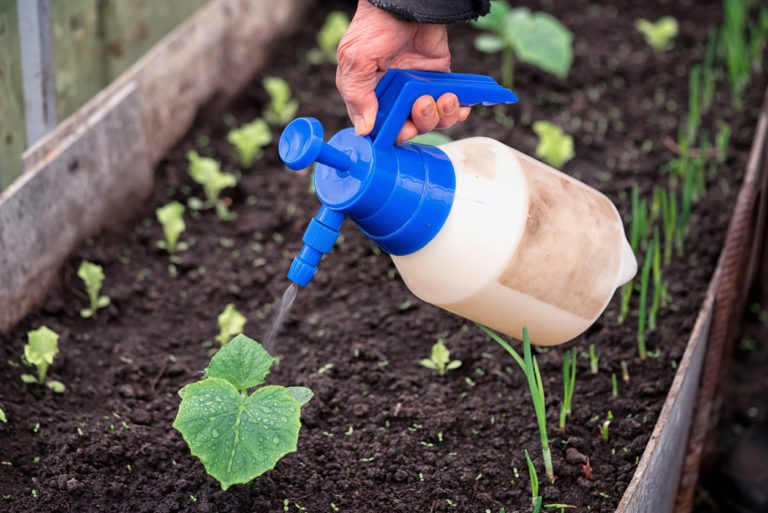 Výživné domácí hnojivo si můžete rychle a jednoduše vyrobit zcela zdarma